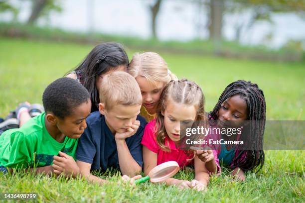 children exploring during summer camp - development camp stock pictures, royalty-free photos & images