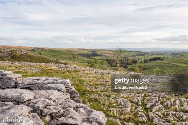 top of malham cove - buttress stock pictures, royalty-free photos & images