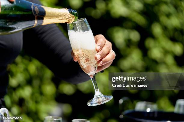 a woman dressed in black uses both hands to pour champagne moet into a vineyard cup during the celebration of a pleasant and important moment. - hand holding a bottle stock pictures, royalty-free photos & images