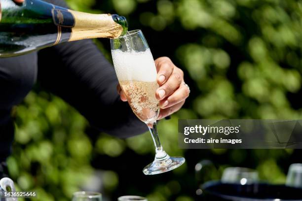 a woman dressed in black uses both hands to pour champagne moet into a vineyard cup during the celebration of a pleasant and important moment. - champanhe imagens e fotografias de stock