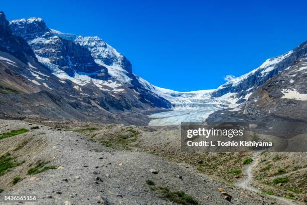 mountains and landscape at athabasca glacier in jasper national park - columbia icefield bildbanksfoton och bilder