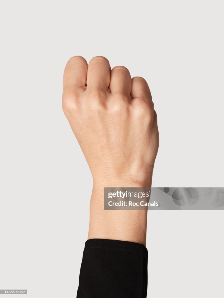 Raised Fist
