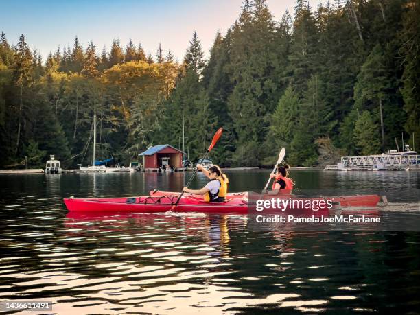 multiracial young adult sisters kayaking in harbor at sunset - canadian pacific women stock pictures, royalty-free photos & images