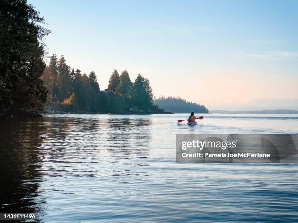 kayakista solitaria se dirige hacia tierra al atardecer - kayak fotografías e imágenes de stock