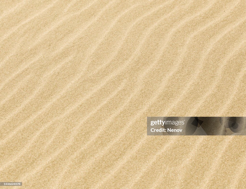 Sand Background Texture