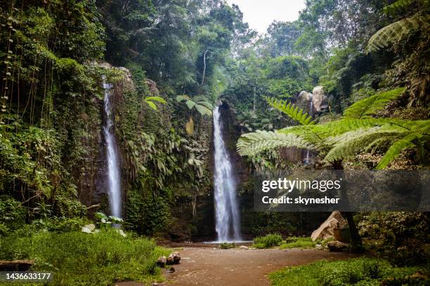 waterfalls in the forest! - lombok bildbanksfoton och bilder