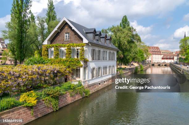 architecture and flowers in strasbourg, france - estrasburgo fotografías e imágenes de stock