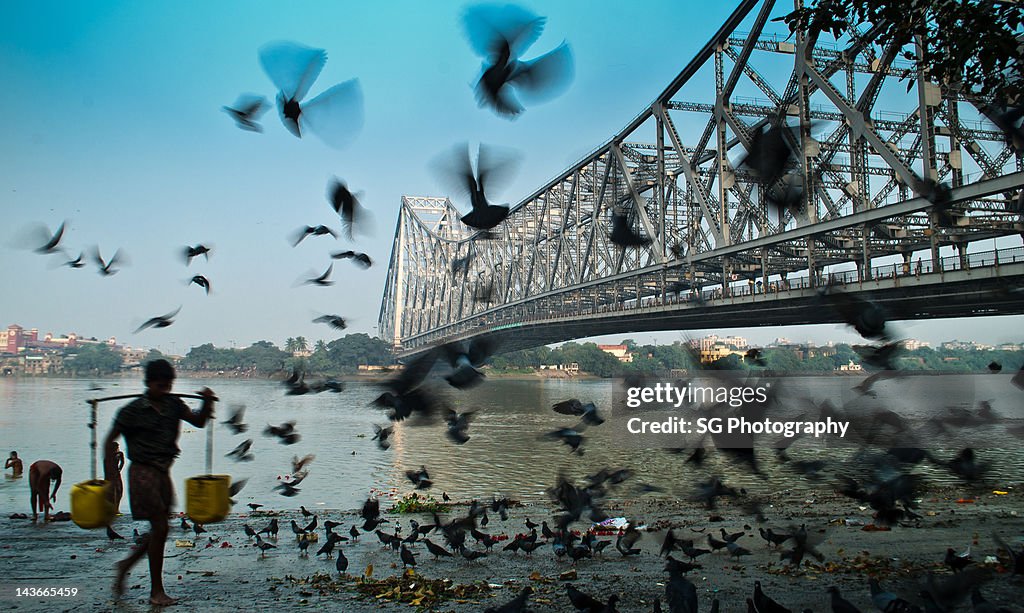 Man walking with pigeons flying