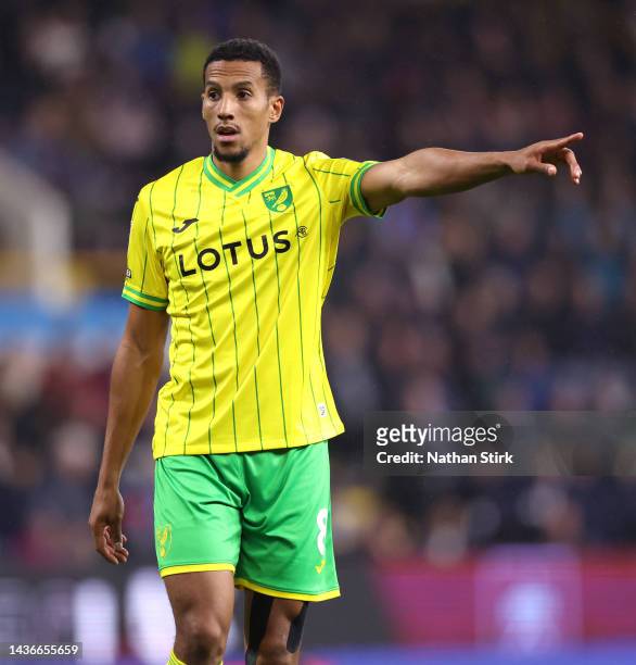 Isaac Hayden of Norwich gesturs during the Sky Bet Championship between Burnley and Norwich City at Turf Moor on October 25, 2022 in Burnley, England.