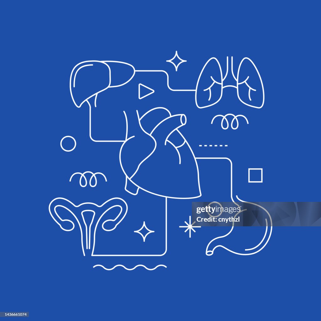 Human Organs and Anatomy Related Vector Banner Design Concept, Modern Line Style with Icons