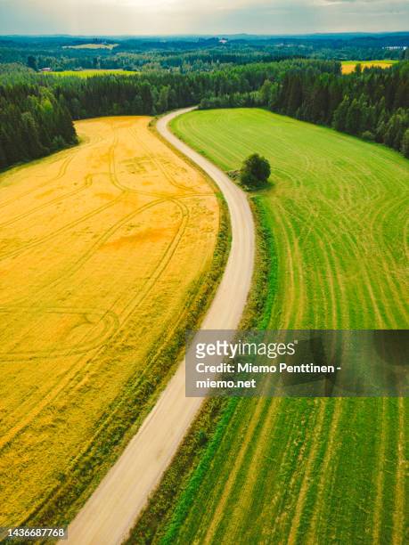 aerial view of a country road winding through agricultural fields and a solitary tree in finland - finland landscape stock pictures, royalty-free photos & images