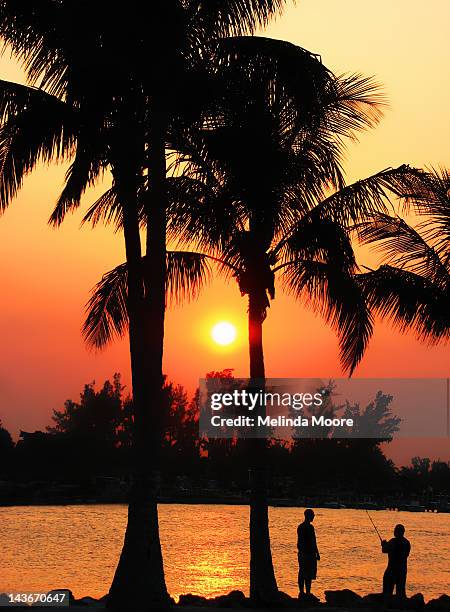 men fishing at sunset - inlet stock pictures, royalty-free photos & images