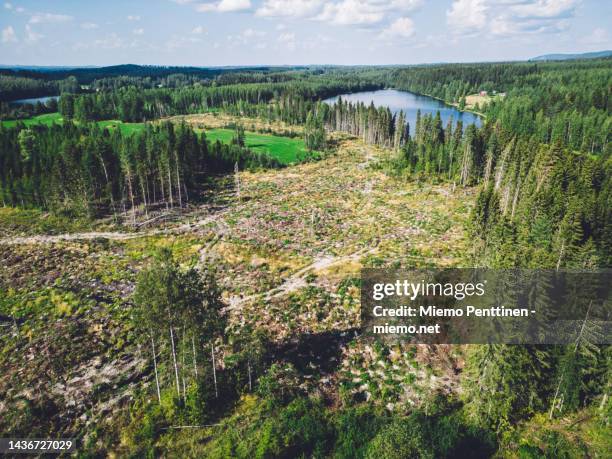 aerial view of a recently deforested rural area in northern finland - biodiversity loss stock pictures, royalty-free photos & images