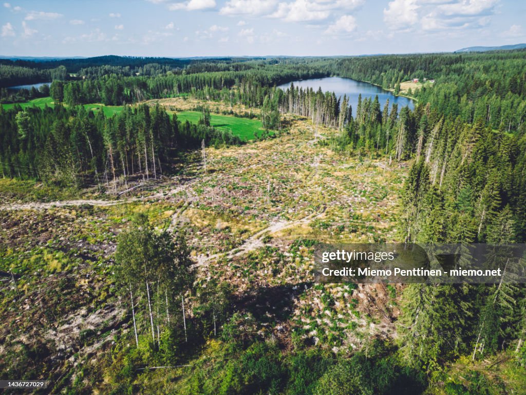 Aerial view of a recently deforested rural area in Northern Finland