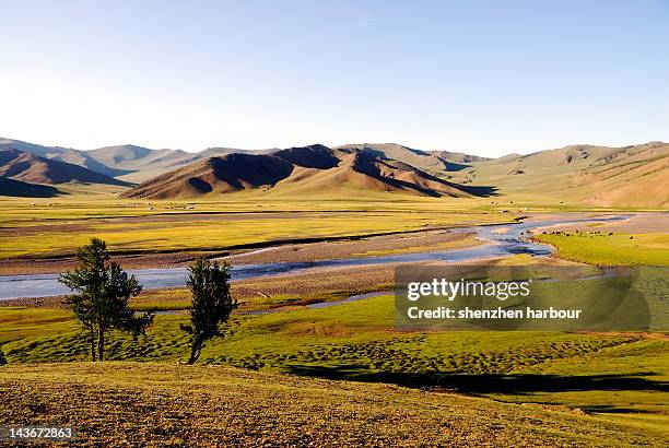 orkhon river in mongolia - orkhon river stock pictures, royalty-free photos & images