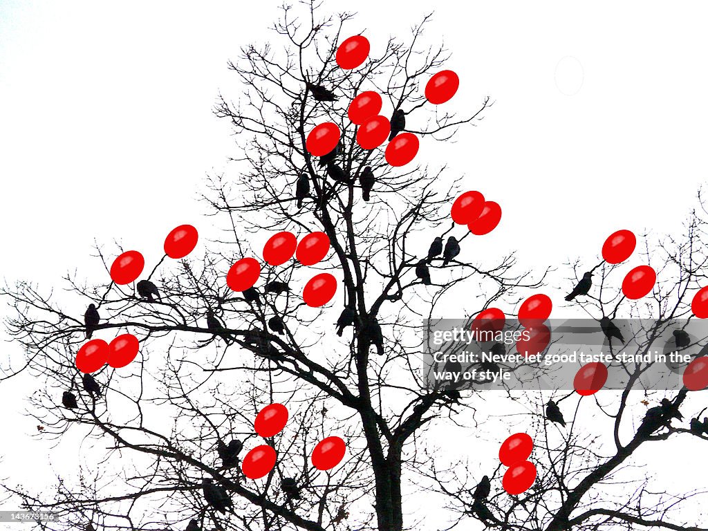 Birds with red balloon perching on dead tree