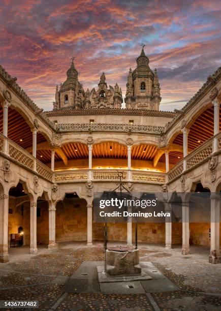 casa de las conchas, castile and leon, spain - salamanca ストックフォトと画像