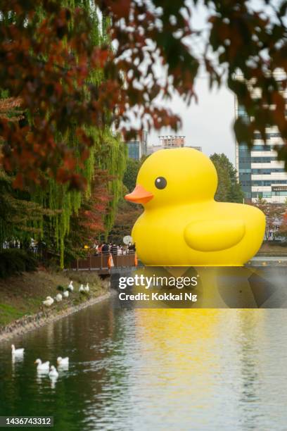 giant rubber duck at seokchon lake, jamsil, seoul - installation art stock pictures, royalty-free photos & images