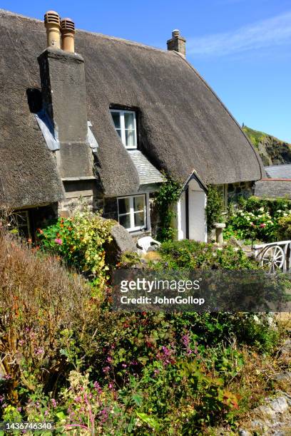 thatched cottage - the lizard peninsula england stock pictures, royalty-free photos & images