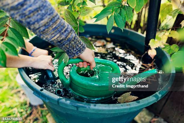 teenagers filling up watering cans with rainwater to water plants in backyard. - vattenhushållning bildbanksfoton och bilder