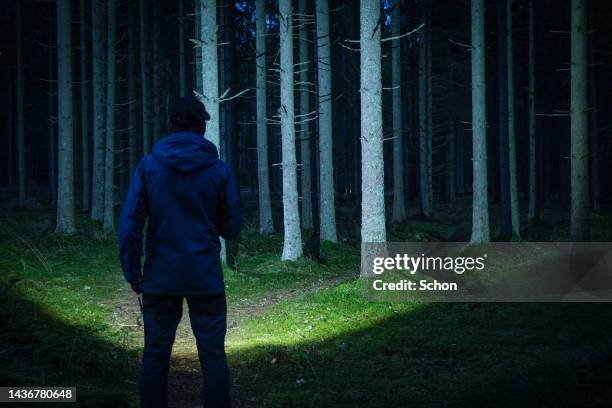 a man stands on a path with a flashlight in dark spruce forest in autumn - illuminated photos stock pictures, royalty-free photos & images