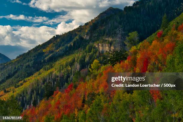 Alpine Loop Views Fall 36 Alpine Loop Scenic Byway Stock Photos, High-Res Pictures, and Images ...