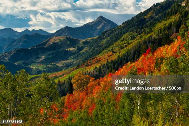 Alpine Loop Views Fall 36 Alpine Loop Scenic Byway Stock Photos, High-Res Pictures, and Images ...