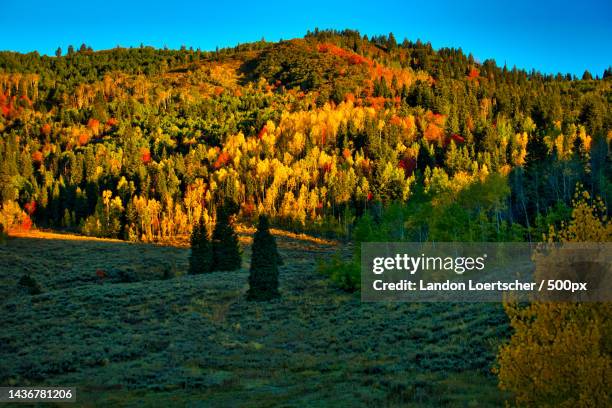 Alpine Loop Views Fall 36 Alpine Loop Scenic Byway Stock Photos, High-Res Pictures, and Images ...