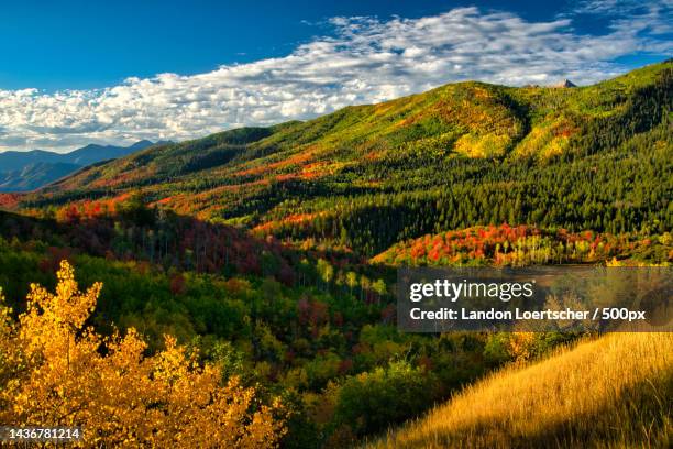 Alpine Loop Views Fall 36 Alpine Loop Scenic Byway Stock Photos, High-Res Pictures, and Images ...
