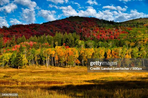 Alpine Loop Views Fall 36 Alpine Loop Scenic Byway Stock Photos, High-Res Pictures, and Images ...