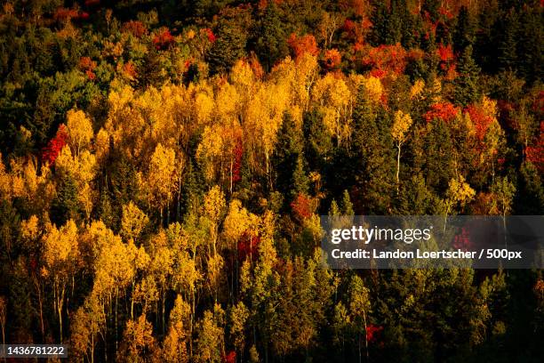 Alpine Loop Views Fall 36 Alpine Loop Scenic Byway Stock Photos, High-Res Pictures, and Images ...