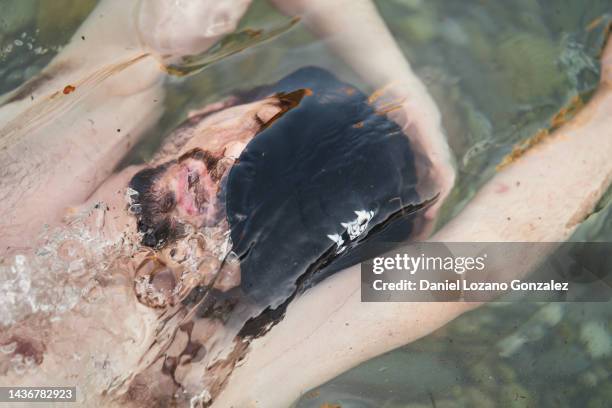 close up view of a dead man in the water after having an accident in the sea. - dead body stock-fotos und bilder