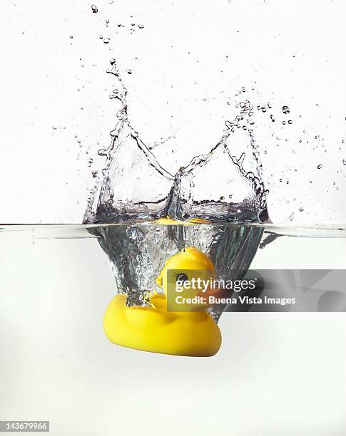 sinking rubber duck - acqua splash bildbanksfoton och bilder