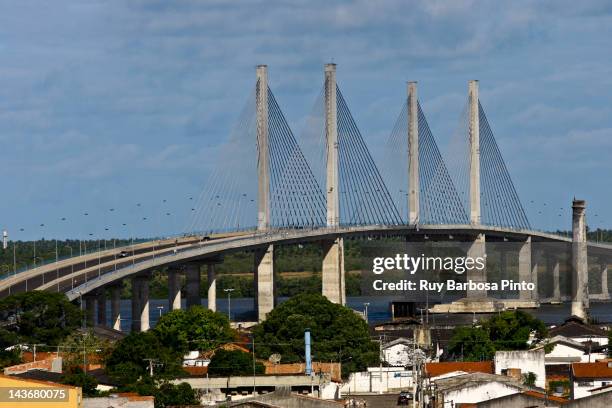 aracaju-bar bridge of coconut trees - brasil sergipe aracaju - fotografias e filmes do acervo