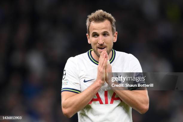 Harry Kane of Tottenham Hotspur reacts during the UEFA Champions League group D match between Tottenham Hotspur and Sporting CP at Tottenham Hotspur...