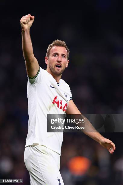 Harry Kane of Tottenham Hotspur celebrates a goal which is later disallowed during the UEFA Champions League group D match between Tottenham Hotspur...