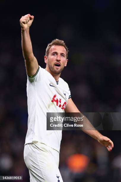 Harry Kane of Tottenham Hotspur celebrates a goal which is later disallowed during the UEFA Champions League group D match between Tottenham Hotspur...
