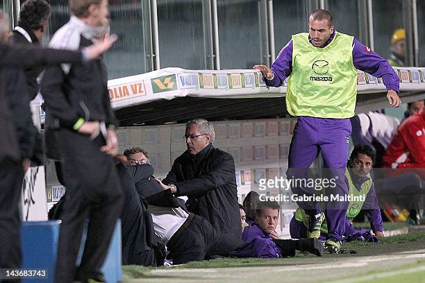 Fiorentina head coach Delio Rossi fighting with Adem Ljaljic of ACF Fiorentina during the Serie A match between ACF Fiorentina and Novara Calcio at...