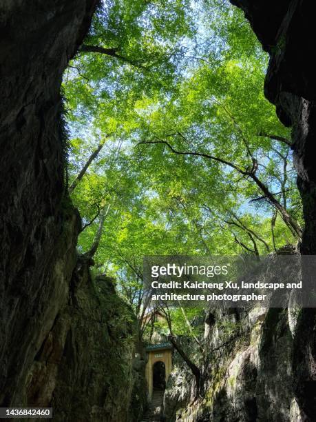 baiyun cave, wuhan, china - 湖北省 stockfoto's en -beelden