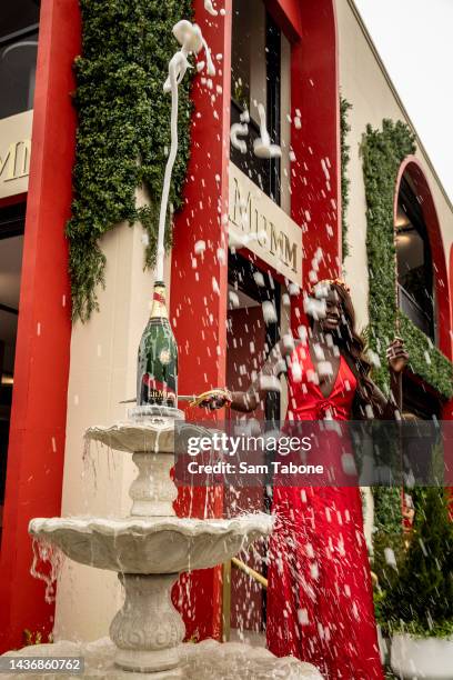 Duckie Thot attends the Mumm Marquee during media preview day in the Birdcage at Flemington Racecourse on October 27, 2022 in Melbourne, Australia.