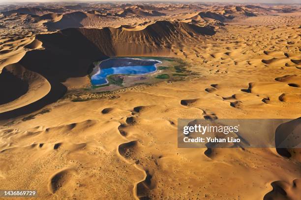 oasis in the desert - inner mongolia photos et images de collection