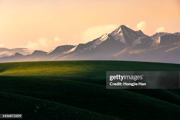 grasslands in xinjiang, china. - tien shan mountains stock pictures, royalty-free photos & images