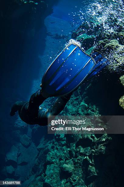 close up of divers fins underwater - thingvellir stock pictures, royalty-free photos & images