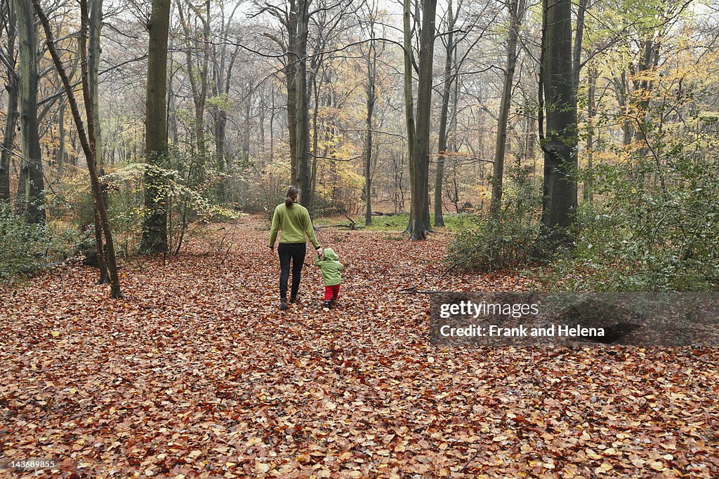 母と息子の徒歩で秋の落ち葉