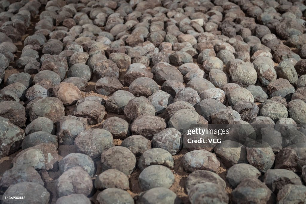 Over 20,000 Dinosaur Egg Fossils Collected at Heyuan Dinosaur Museum