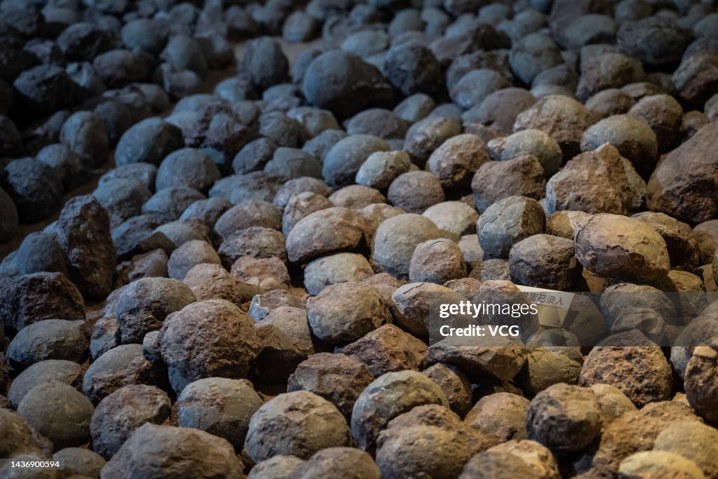 Over 20,000 Dinosaur Egg Fossils Collected at Heyuan Dinosaur Museum