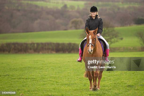 adolescente ragazza equitazione cavallo nel campo - english horse riding foto e immagini stock