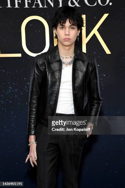 Landon Asher Barker attends as Tiffany & Co. Celebrates the launch of the Lock Collection at Sunset Tower Hotel on October 26, 2022 in Los Angeles,...