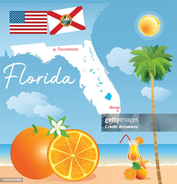 florida and orange - miami beach stock illustrations