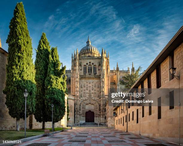 old cathedral, salamanca,  castile and leon, spain - salamanca stock pictures, royalty-free photos & images